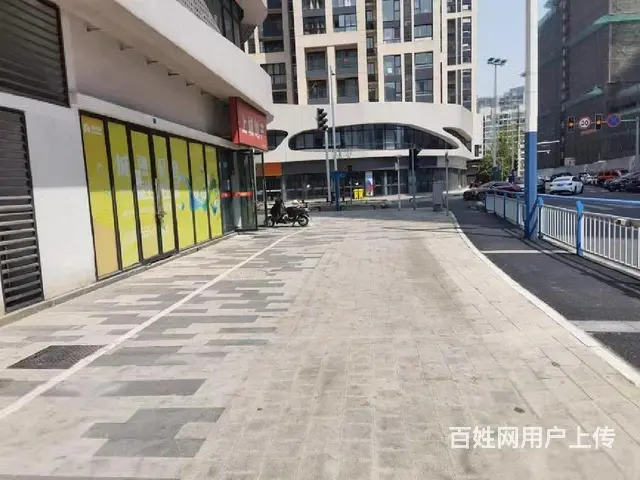 单价9转角商铺 20个车位 市中心送4套一楼商铺 沿街现铺 - 图片 8