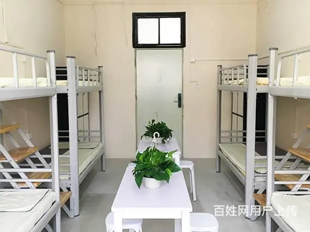 公寓学校学生员工宿舍成人高低 双层铁架床 - 图片 4