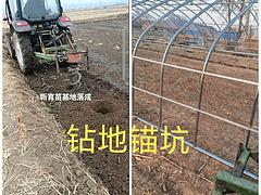 专业钻各种坑树坑地锚坑