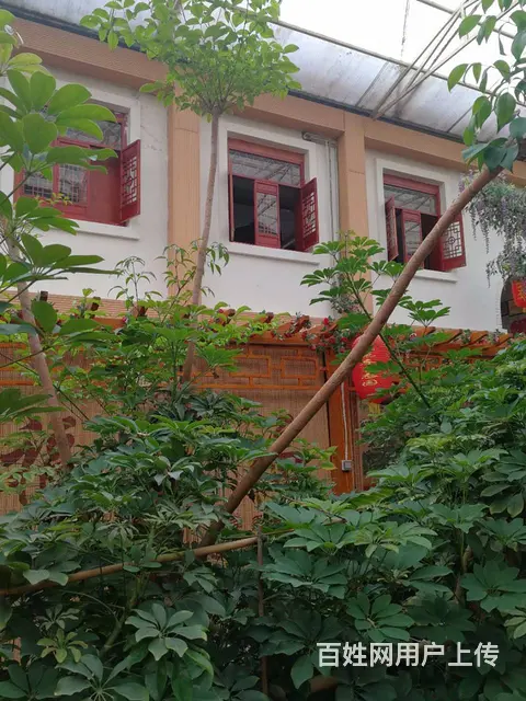 营业中占地9610平米大型生态餐饮整体对外委托拍卖 - 图片 4
