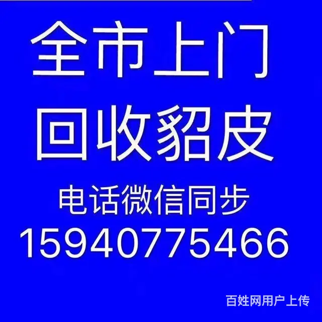 辽源常年回收貂皮大衣 - 图片 9