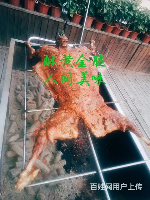 专业上门烤全羊，烧烤上门服务 - 图片 3