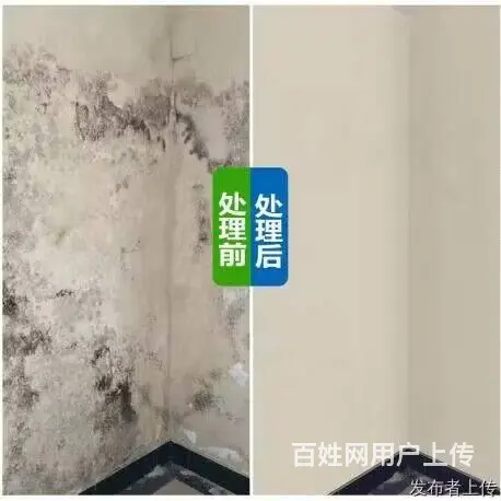 白云区黄石附近天花板除霉局部霉斑处理、家庭除霉治理 - 图片 1