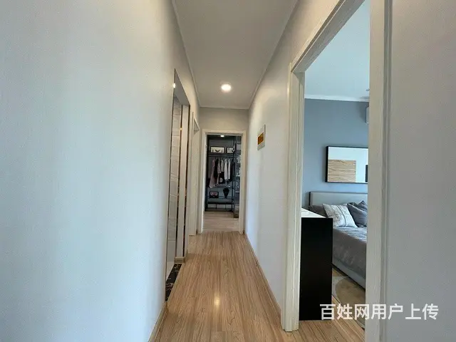 捡漏湖景房！全椒罗马世纪城 高铁站旁 轻轨口 碧桂园自持物业 - 图片 5