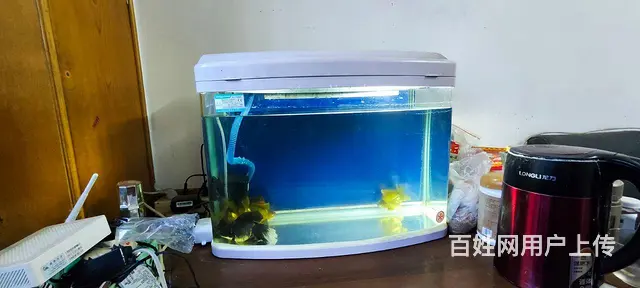 水族箱 - 图片