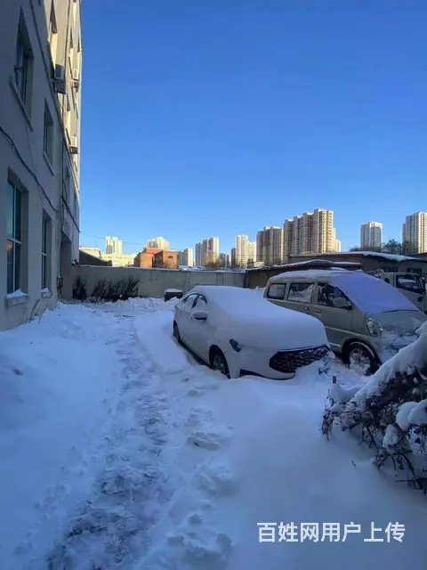 【搞定了！】道外区政府友谊东路门市出租房主直租 - 图片 11