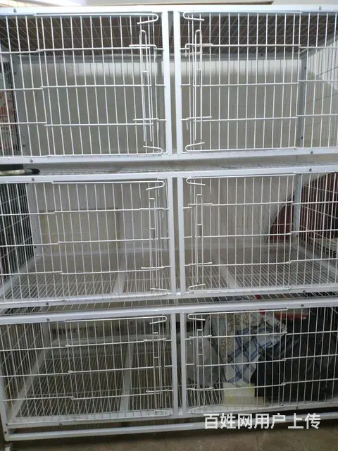 99新猫笼 - 图片 2