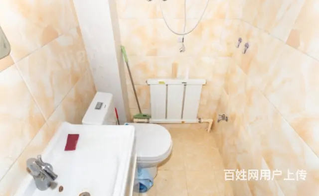绿苑小区 普通住宅 中等装修 - 图片 5