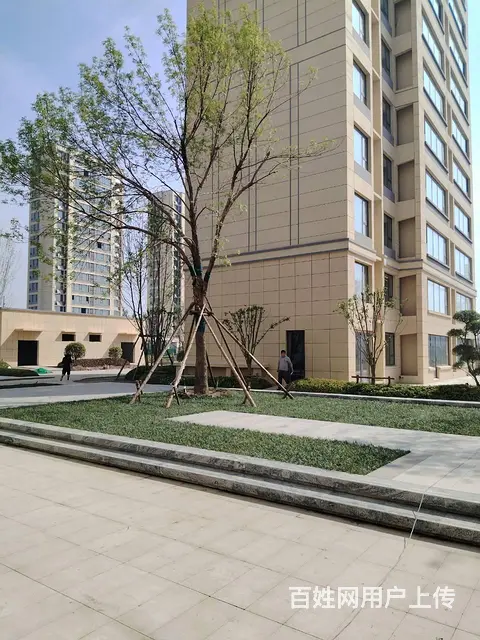 燕园华府  多套精装顶账实景现房，低价出售 - 图片 9