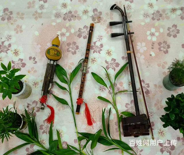 二胡 笛子  一对一辅导 - 图片 2