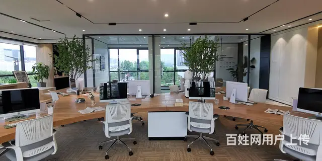 大蜀山旁 长江西路地铁口 四层独栋总部 办公楼宇  高赠送 - 图片 8