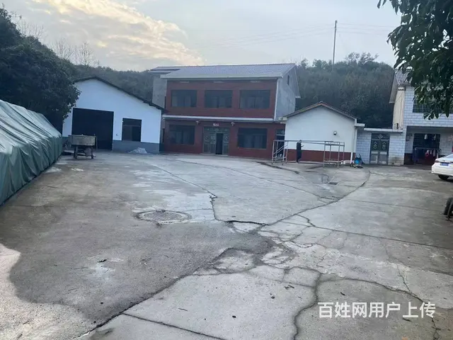 (房东直租)开福区沙坪700平厂房带500外坪优价出租 - 图片 2