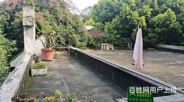 河西和苑小区精装784室2厅2卫出售 送超大阳台 - 图片 11