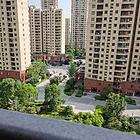 乐清市海上明月