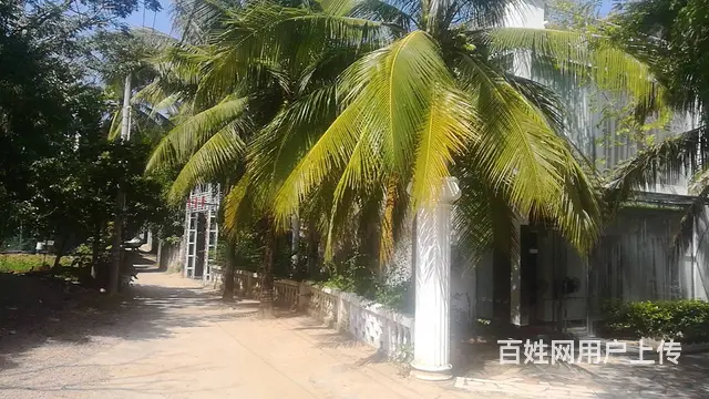 （51旺铺推荐）休闲农家小院450平出租，可合作！ - 图片 8