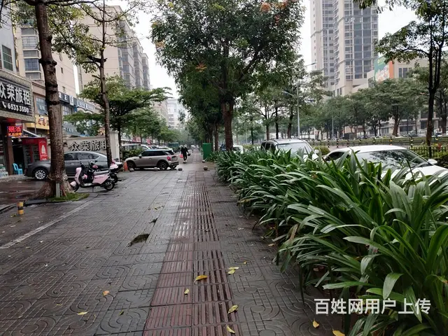 （51旺铺推荐）美苑路阳光大酒店旁边铺面招租 - 图片 7