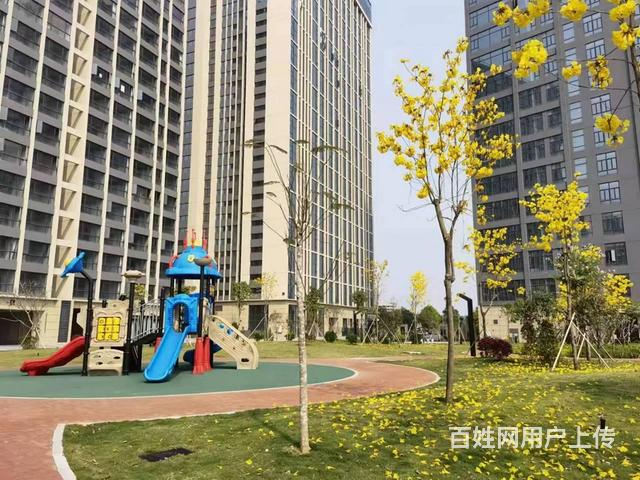厚街高速口【东方御府】5栋花园精装两房首付4万起的图片