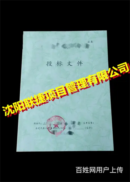 标书编制，文稿设计，排版，制作，审核。 - 图片 1