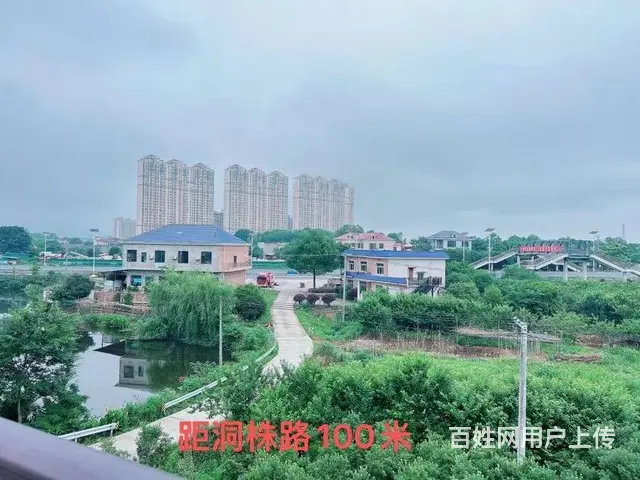 （老板本人）跳马镇洞株路旁新建独栋房屋/办公楼出租 6474 - 图片 10