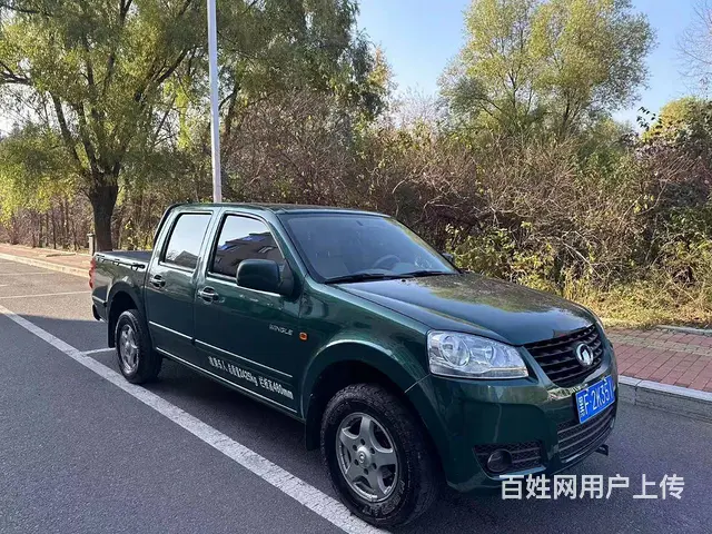 其他 皮卡 - 图片 3