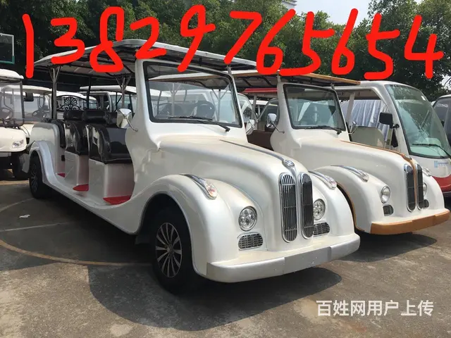 出租租赁出售电瓶观光车 展会接驳车 楼盘看房车 - 图片 3