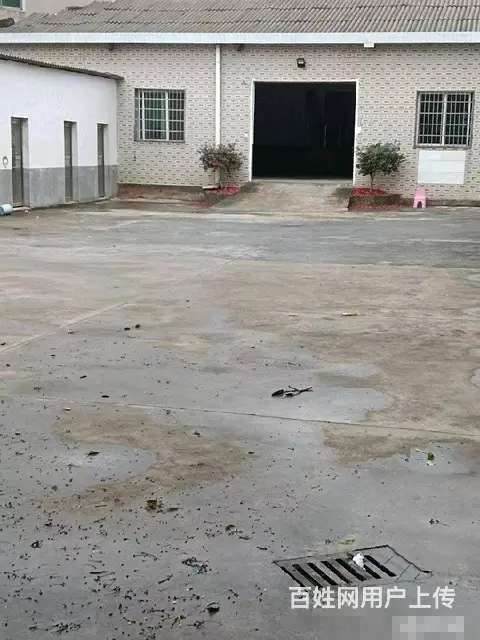 （老板本人）岳麓区含浦镇学华村厂房仓库出租  5988 - 图片 5