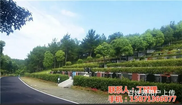 黄陂长乐园_武汉长乐园_武汉长乐园(查看) - 图片 1