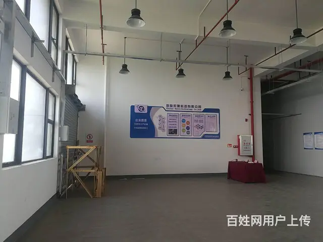 南屏屏西路独门、独院厂房 - 图片 5