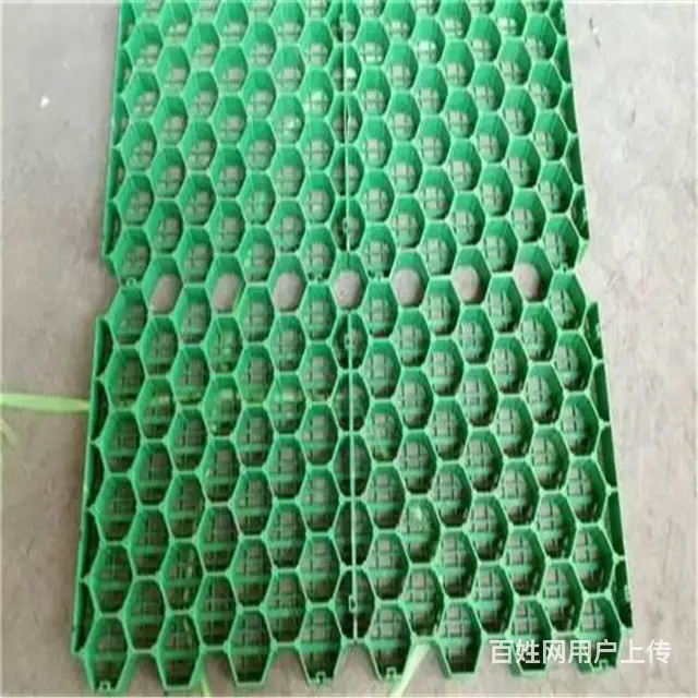 清远HDPE植草格,种草板H40H70平口花口现货 - 图片 1