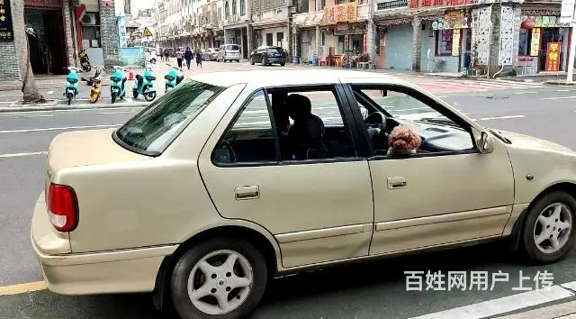 铃木 羚羊 2004款 1.3 手动 OK豪华型 - 图片