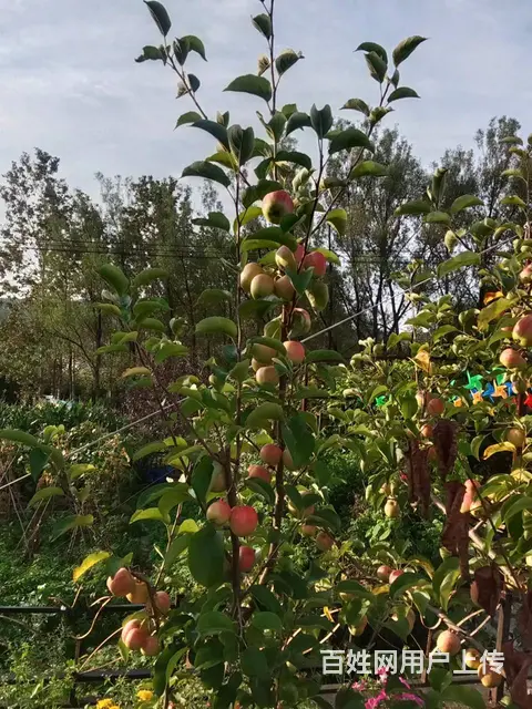厂房出租出售 - 图片 11