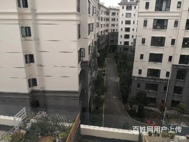 丽月湖岸单身公寓出租 - 图片 3