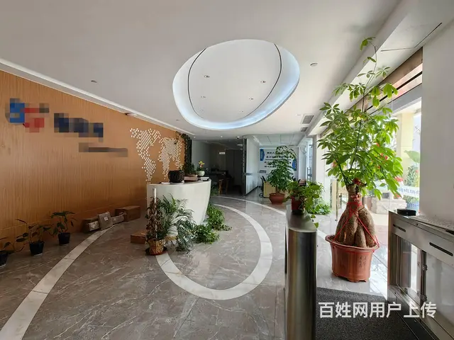 出租湖里火炬东路纯写字楼 - 图片 2