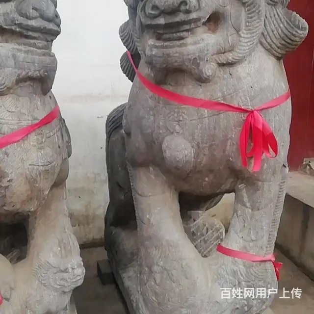 精品马犬 - 图片