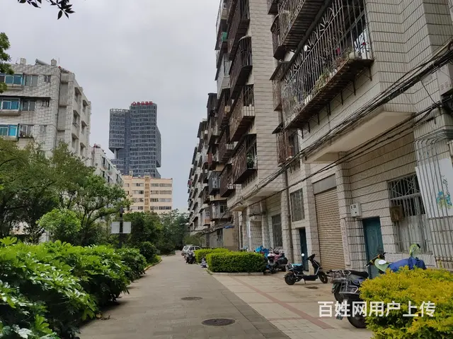 公路局宿舍1800元环境好3室便宜租。 - 图片 3
