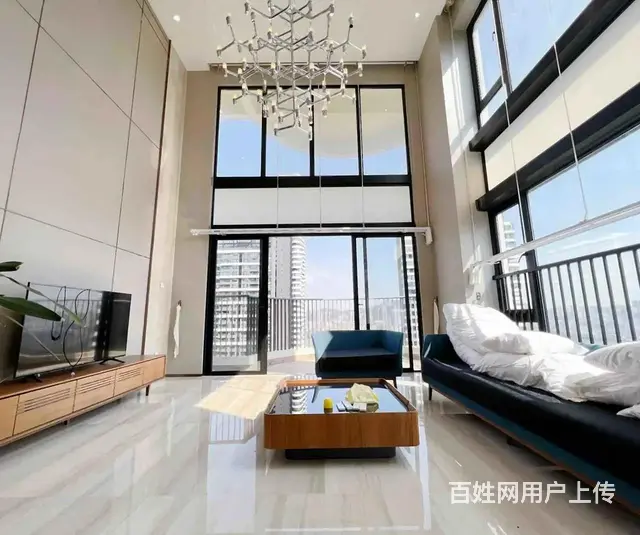 中信红树湾南区 精装修 高层 河景 准新房 复式 - 图片 7
