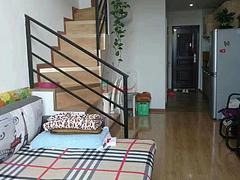 出租 白领公寓 9楼  拎包入住