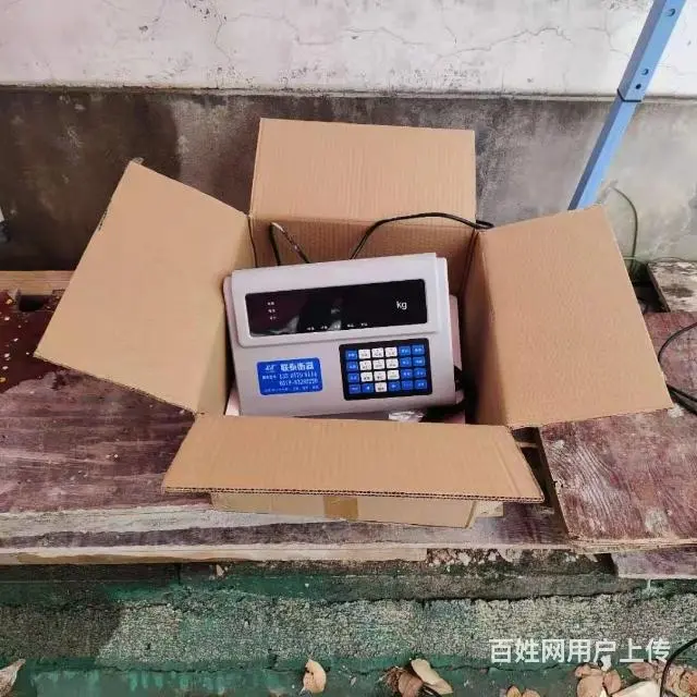 金华地磅、地磅出租 - 图片 1