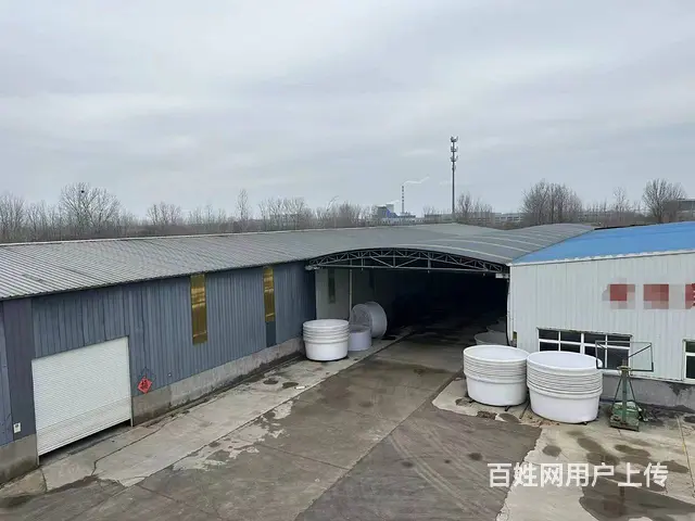（城市在线找房免费）大成物流南3km徐村附近厂房出租 - 图片 7