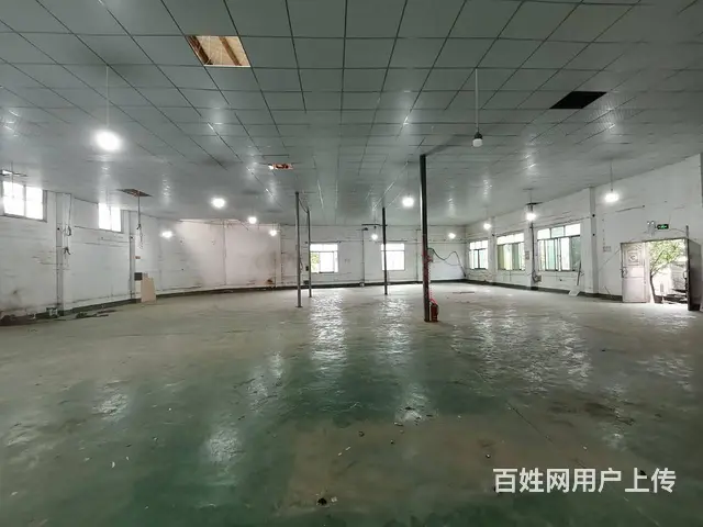 （老板本人）望城区自建厂房仓库房东直租 5250 - 图片 8