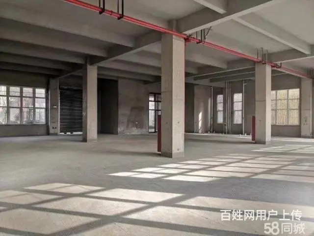 金山桥高铁站厂房出售出租 证件齐全 - 图片 6