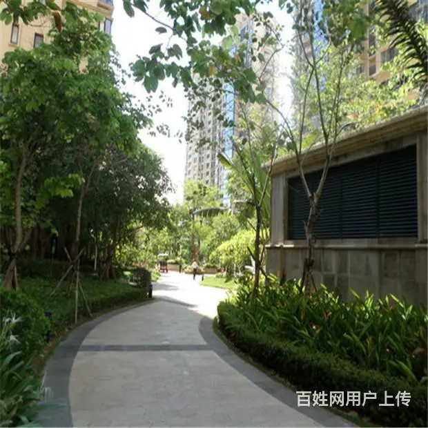 国兴商圈   国瑞城4房电梯板房 - 图片 11