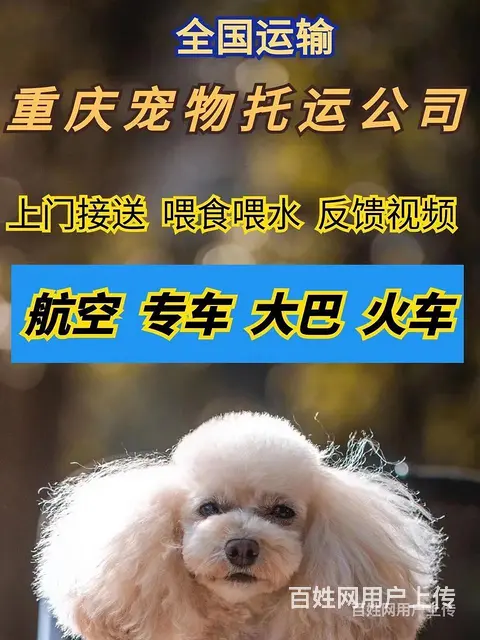 推荐） 莱阳宠物托运到全国）（猫狗）邮寄快递（宠物活体运输） - 图片 2