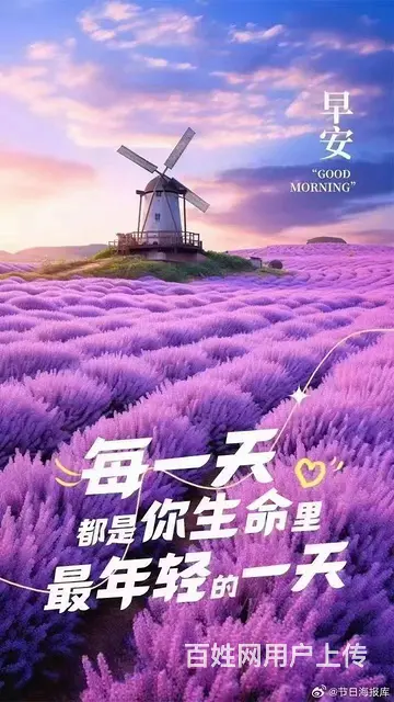 后台可以看到充值记录以及消费记录吗？ - 图片