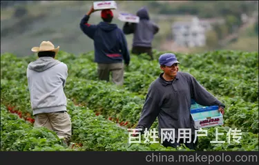 正规出国劳务/年薪45万/（项目保签）澳洲工作签证 - 图片 9