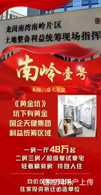 布吉南岭拆迁房 南岭壹号 变天健红本房48万一套起 - 图片 2