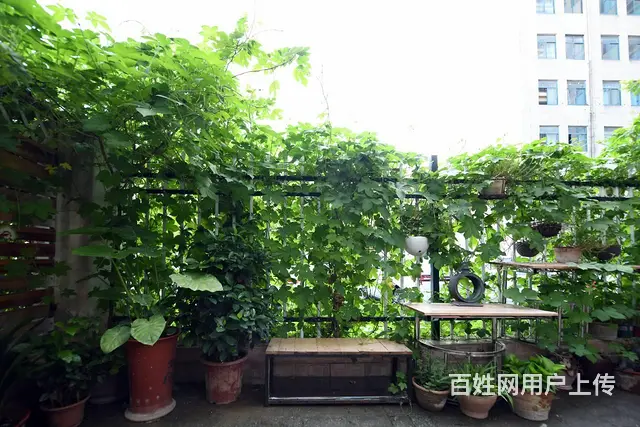 宿州市蓝石西区 商住两用 精装修 - 图片 4