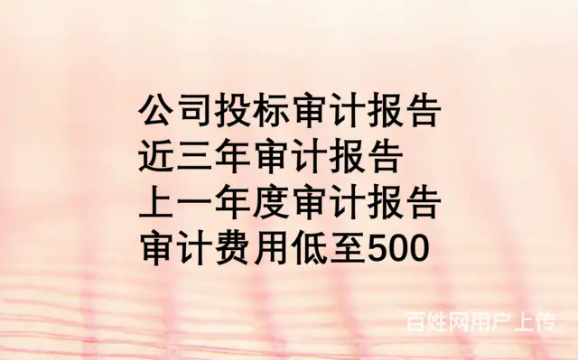 2024年出具2023年武汉审计报告要多少钱 - 图片 4