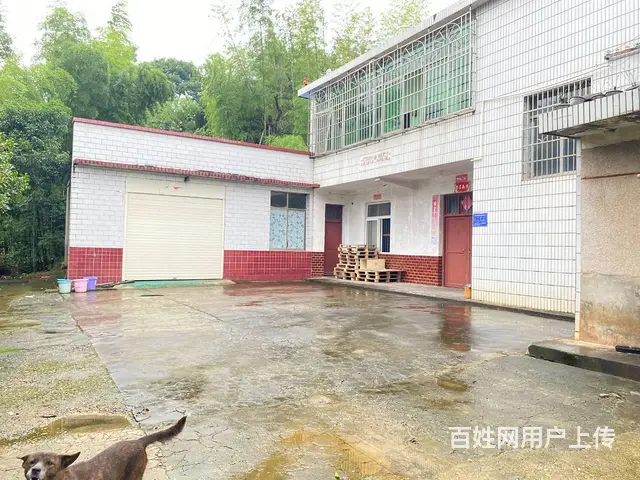 （房东直租）永通大道雷锋大道金星北旁180一400平厂房出租 - 图片 9