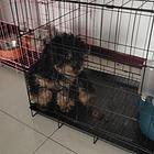 想买联系200卖